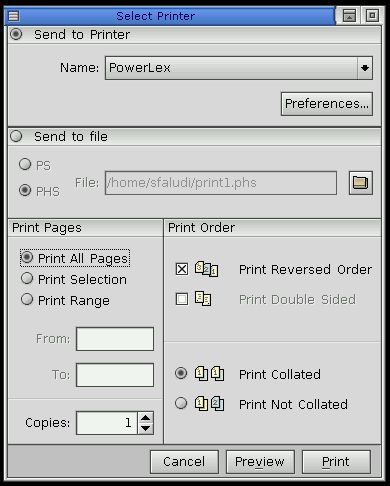 PtPrintSelection() dialog